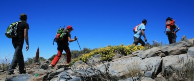 L'aventure vous attend : 5 randonnées à couper le souffle pour découvrir la beauté naturelle de Ténériffe