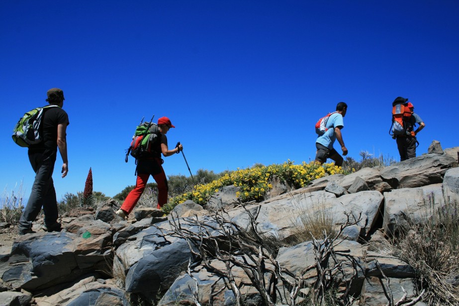 Äventyret Väntar: 5 Fantastiska Vandringar för att Uppleva Teneriffas Naturskönhet